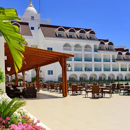 Crown Serenity Ultra シダ