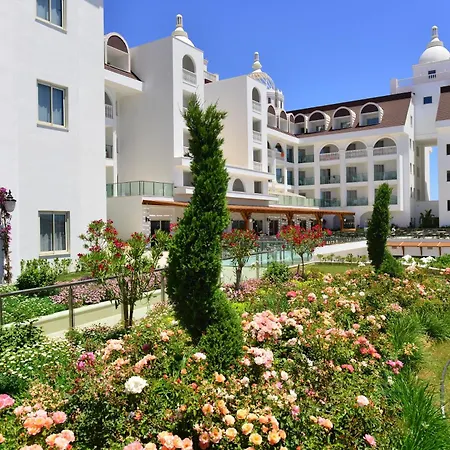 Crown Serenity Ultra シダ