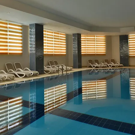 Crown Serenity Ultra 5* シダ