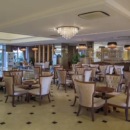 Crown Serenity Ultra シダ