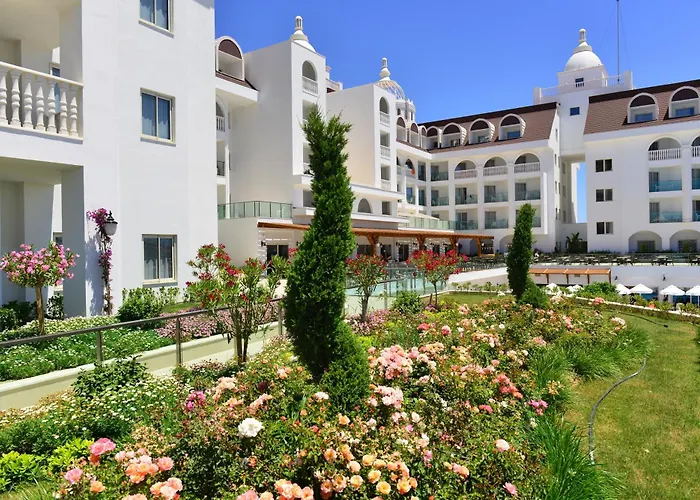 Crown Serenity Ultra سيدي